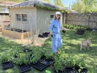 Neighborly networks aim to boost pollinator populations one block at a time