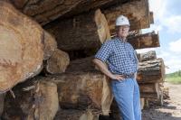 Lumber’s Wild Ride Leaves Arkansas Sawmills With Higher Costs, Lower Margins