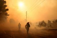 Analysis-How the hard reality of climate change hit Europe’s economy this summer