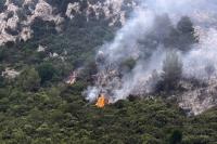 France detains 420 suspects as wildfires burn nearly 120,000 hectares