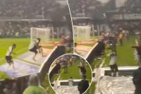 Brazilian soccer player leaves game after leaping over barricade into tunnel celebrating goal that did not count in wild scene