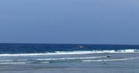 GFD launches search for distressed swimmer at Gun Beach