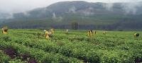 Can Africa finally finance its industrialisation?