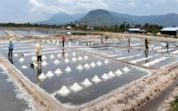 World : Unpredictable Weather Threatens Cambodiaâ€™s Traditional Salt Industry