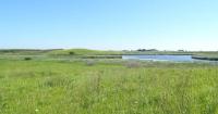OUTDOOR NEWS: Habitat variety draws visitors to Lake Iowa and Lake Iowa Marsh