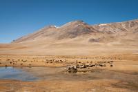 The current reality for Christians of Central Asia