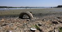 World’s seas hit hottest temperature on record for July, say scientists