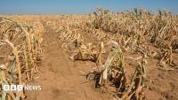 Britain must prepare for El Niño shocks, says MP