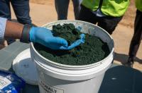DRC's Copper, Cobalt Concentrate Exports Ban to Have Limited Impact on Chinese Firms With Local Business, Expert Says