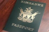 How many Zimbabweans have returned from South Africa?