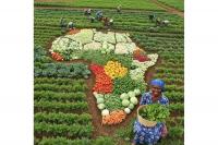 Environmental liability insurance is Africa’s missing financial shield