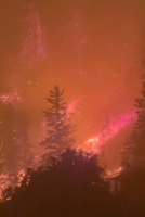 Canada Declares Emergency as Wildfire Doubles in a Day, Forces 20,000 to Flee