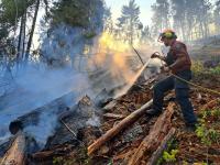 Over 20,000 evacuated as wildfire rages in British Columbia; Canada PM pledges federal aid