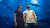 Abu Dhabi launches travel programme offering free entry visa for Indian tourists