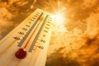 UK faces fifth heatwave as temperatures reach 35°C