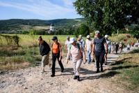VIDEO | President Maia Sandu, together with the diaspora, on a hike through the Moldovan Forests: "We still have much to discover"