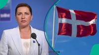 Denmark announces 1 category of foreigners exempted from taking Danish citizenship test