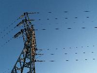 Minister presses EirGrid over Celtic Interconnector delays