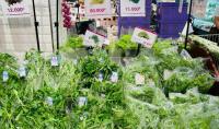 Fruit and vegetable exports top $1 billion for first time in July