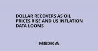 Dollar Recovers as Oil Prices Rise and US Inflation Data Looms