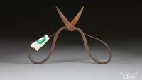 Scientists find something unexpected in 600-year-old surgical tools