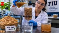 Florida scientists turn rice husks into filters that clean polluted water