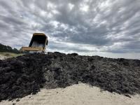 Too much seaweed in Liepāja