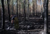 Western Europe saw warmest June-July on record, EU scientists say