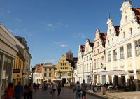 AfD on pre-election roll in east Germany, despite economists’ scepticism