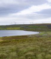 Neshion submits energy park application