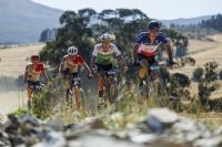 Local Trails: FNB Wines2Whales Goes Global in 2026