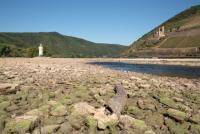 Congestion fear as ‘unnavigable’ Rhine means cargo shift to road and rail