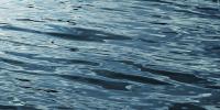 Swimmer identified after saving young girl in South Carolina rip current