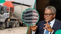 After $800m cement plant, Tanzania seeks bigger Dangote investments in energy and industry