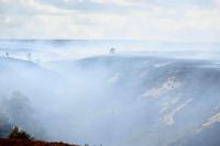 Defra ‘literally playing with fire’ over wildfire policy-making, says expert