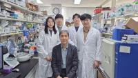 South Korean researchers develop cancer-targeting CRISPR technology