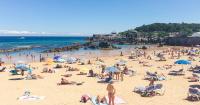 Brits in Spain issued warning after 800 stung by dangerous creature in popular hotspot