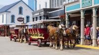 Family travel 5: Last-minute trips
