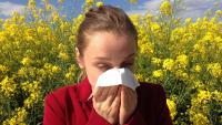Warning to one in four Australians living with hay fever as spring approaches, pollen rises