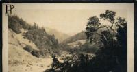 The Humboldt Project: Kate Vance, a SoHum Postcard and a Promise to Write