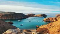 Oman makes tourist visa free for 14 days: Here’s what travellers need to know
