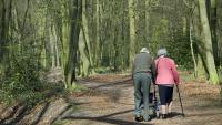 Nature Prescriptions: When Should Doctors Prescribe Them?