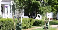 Fairport is New York's 'hottest' housing market, report finds