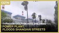 Typhoon Dolphin hits Zhejiang power plant, floods Shanghai streets