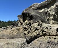 What’s the Deal With: Those holey rocks on Whatcom and Skagit beaches?