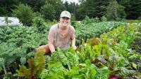 Rochester Harvest Market to feature Nerdy Turnip Farm and much more