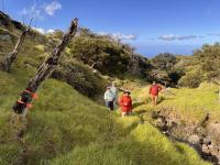 DLNR hires nonprofit for help on best practices for maintenance, improvements