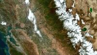 New method makes satellite data easier to use in biodiversity research