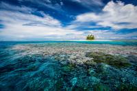 Discover Tuvalu: A Peaceful Pacific Escape