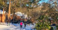 El Niño is expected to bring wetter-than-normal weather to SC this winter